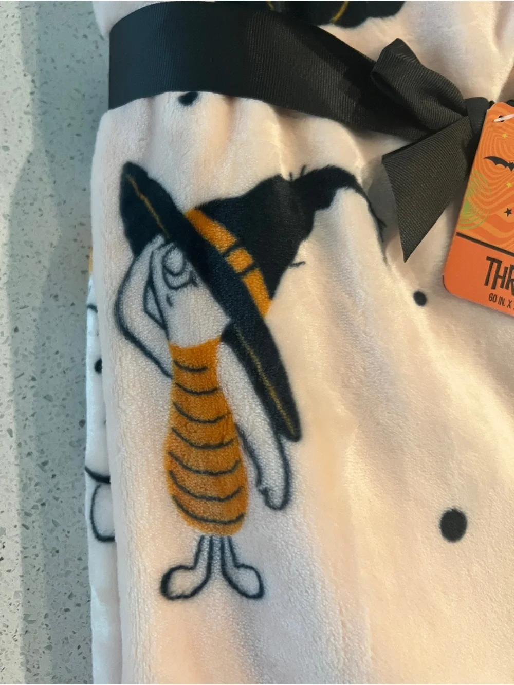 Disney Halloween Pooh Plush Throw Blanket 60x70